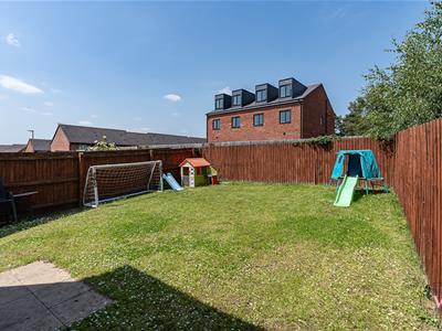Picture 25